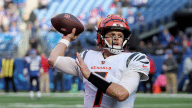 bengals vs buffalo bills match player stats