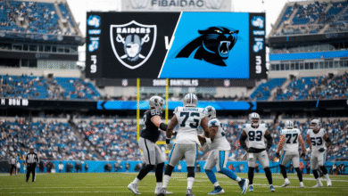 Las Vegas Raiders vs Carolina Panthers Match Player Stats