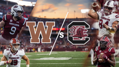 Wofford Football vs South Carolina Gamecocks Football Match Player Stats Recap